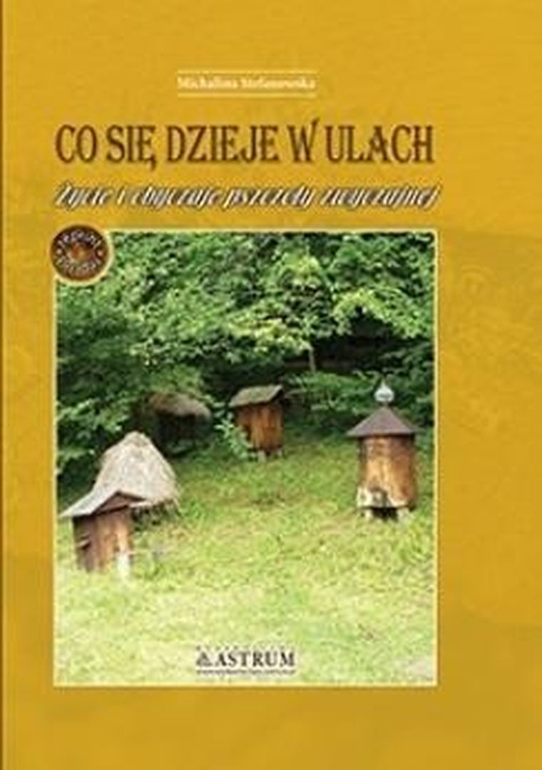 Co się dzieje w ulach. Życie i obyczaje pszczoły zwyczajnej