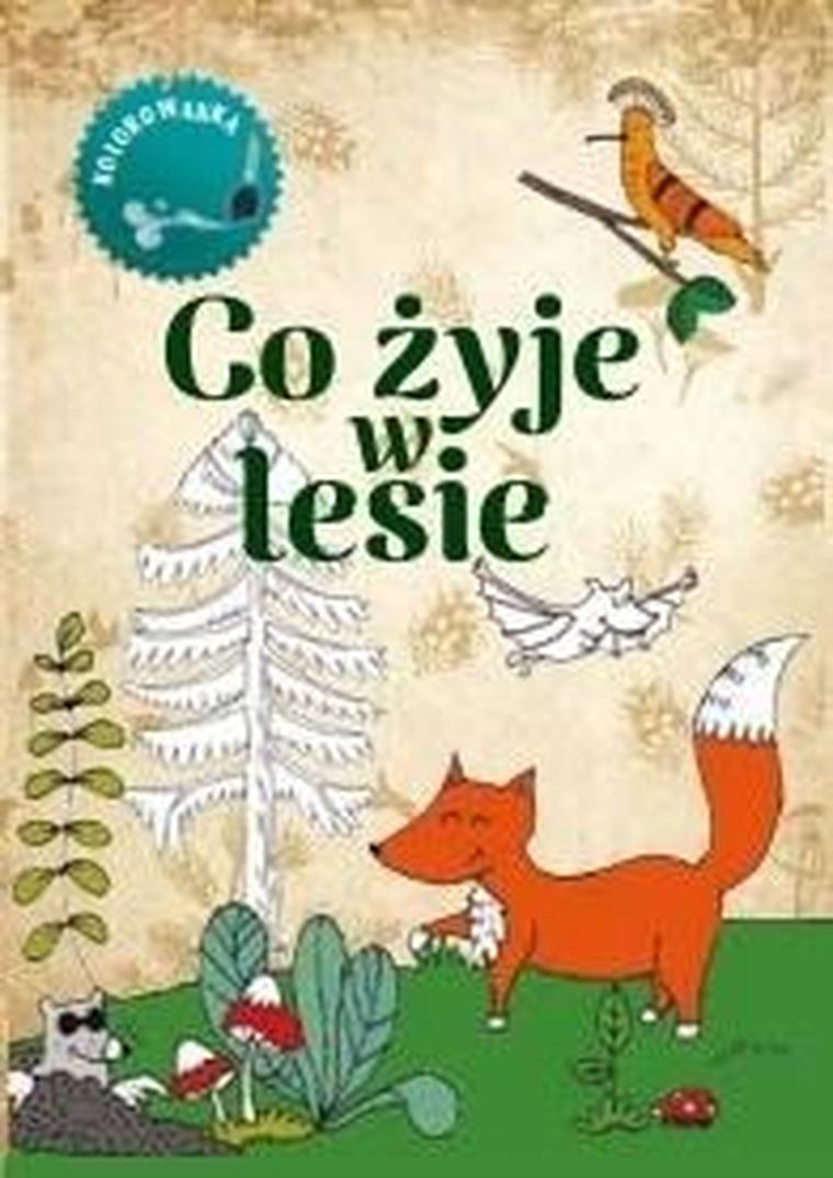 Co żyje w lesie. Kolorowanka