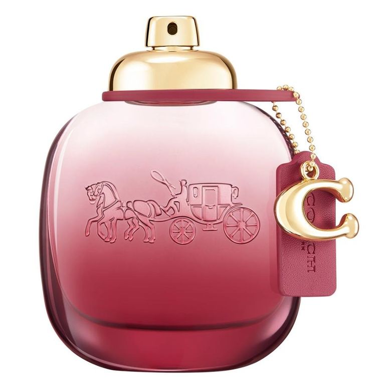 coach coach wild rose