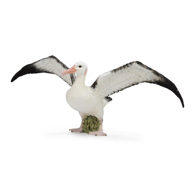 Collecta, Albatros wędrowny, figurka, 88765