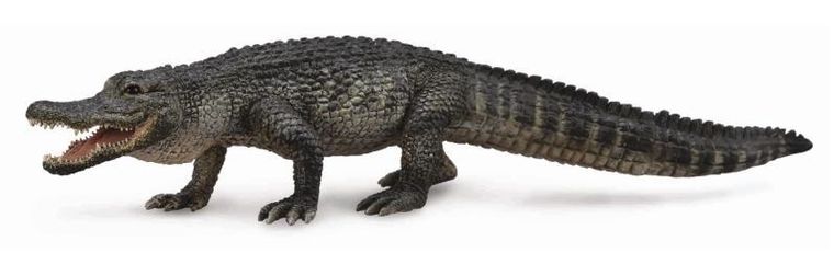 Collecta, Aligator, figurka, 88609