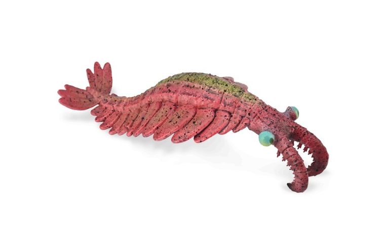 Collecta, Anomalocaris, figurka, 88977
