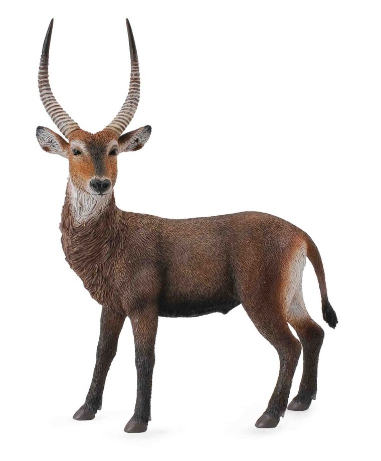 Collecta, Antylopa Waterbuck, figurka, 88562