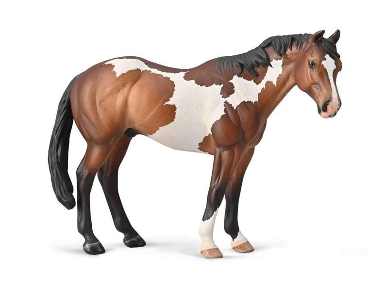 Collecta, Appaloosa ogier, figurka