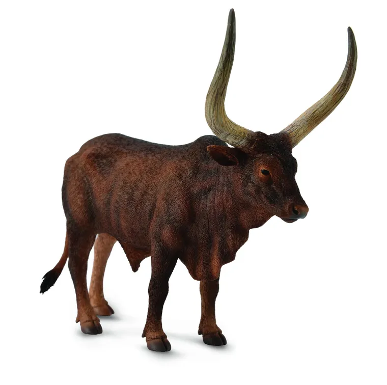 Collecta, Byk Ankole-Watusi, figurka, 88648