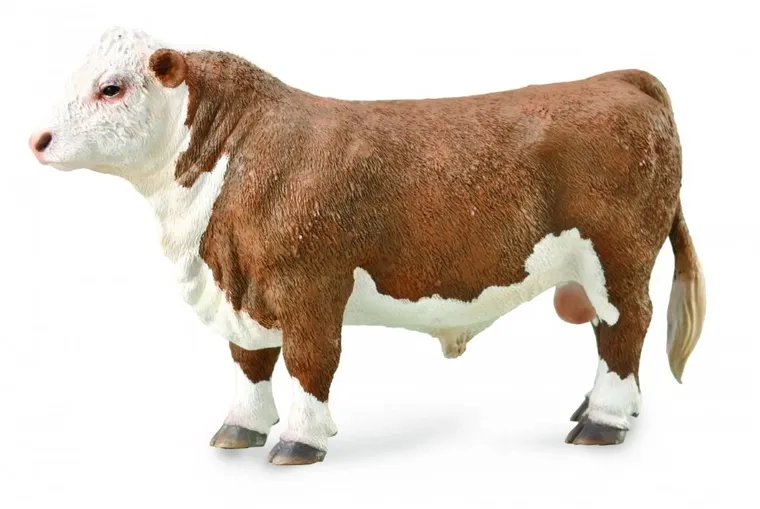 Collecta, Byk Hereford, figurka, 88861