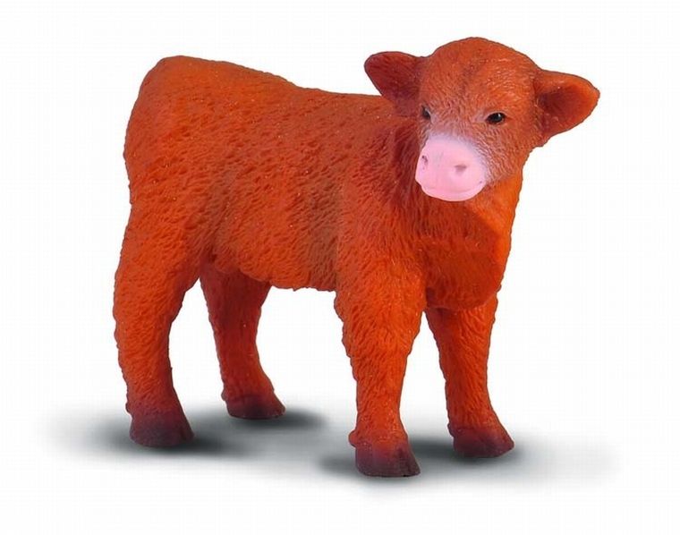 Collecta, Cielę Szkockie Górskie, Stojące, figurka, 88233