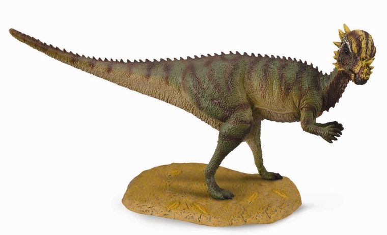 Collecta, dinozaur Pachycephalosaurus, figurka, 88629