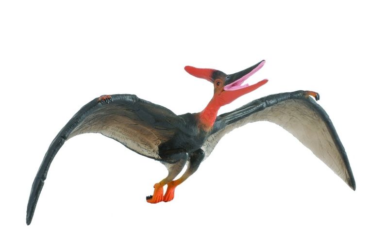 Collecta, dinozaur Pteranodon Deluxe, figurka, 88249. skala 1:40