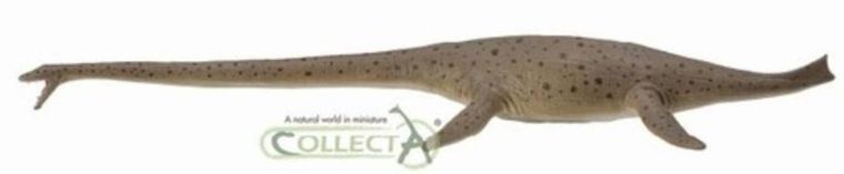 Collecta, Dinozaur Thalassomedon, figurka