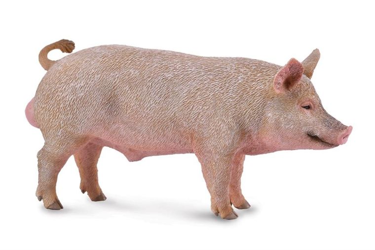 Collecta, Knur, figurka, 88864