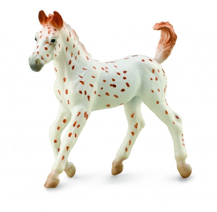 Collecta, Koń Knabstrupper Foal, figurka, 88848