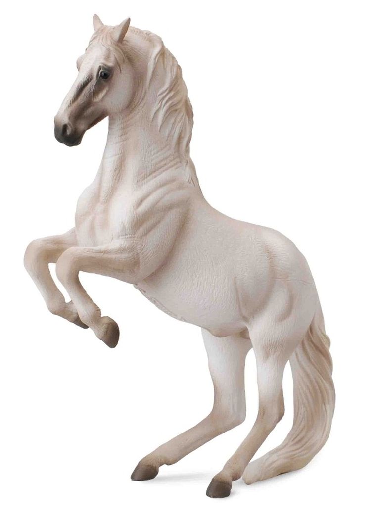 Collecta, Koń Ogier Lipizzaner, figurka, 88518