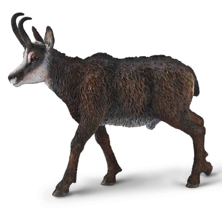 Collecta, Kozica Północna, figurka, 80045