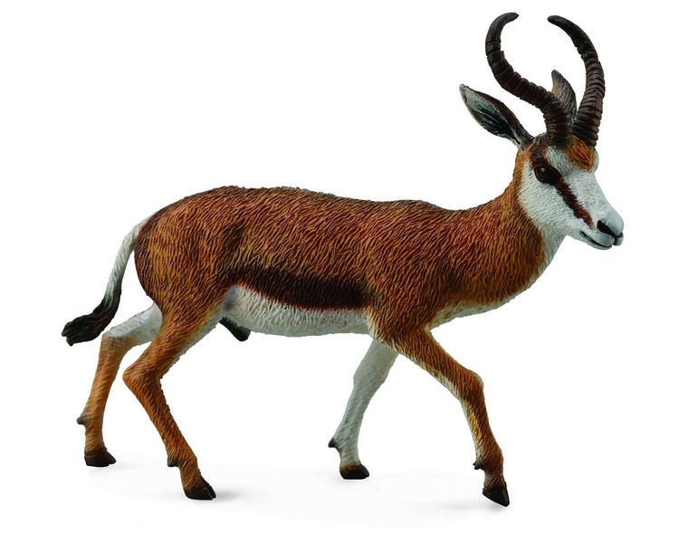 Collecta, Kozioł Springbok, figurka, 88684