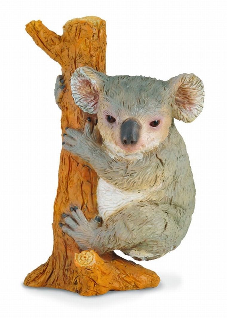 Collecta, Miś Koala, wspinający się, figurka, 88356