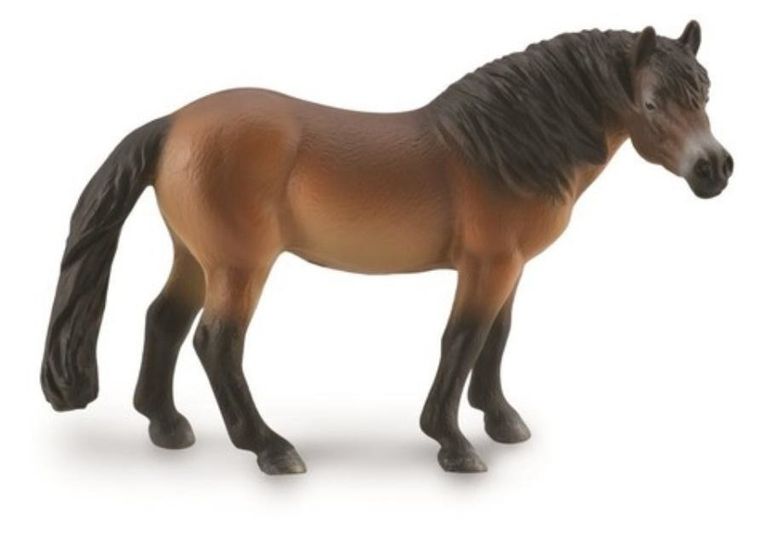 Collecta, Ogier Kuc Exmoor, figurka