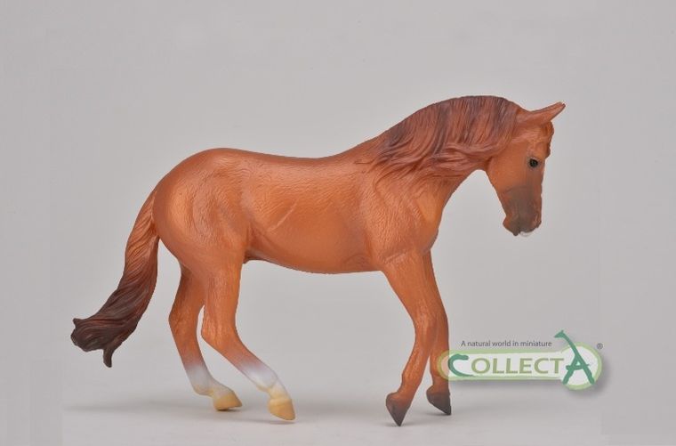 Collecta, Ogier Rasy Australian Stock Horse-Kasztan, figurka, 88712