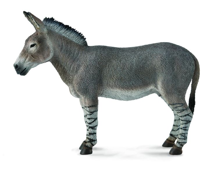 Collecta, Osioł afrykański, figurka, 88664