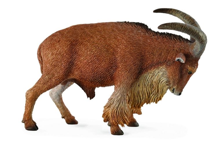 Collecta, Owca grzywiasta, figurka, 88683