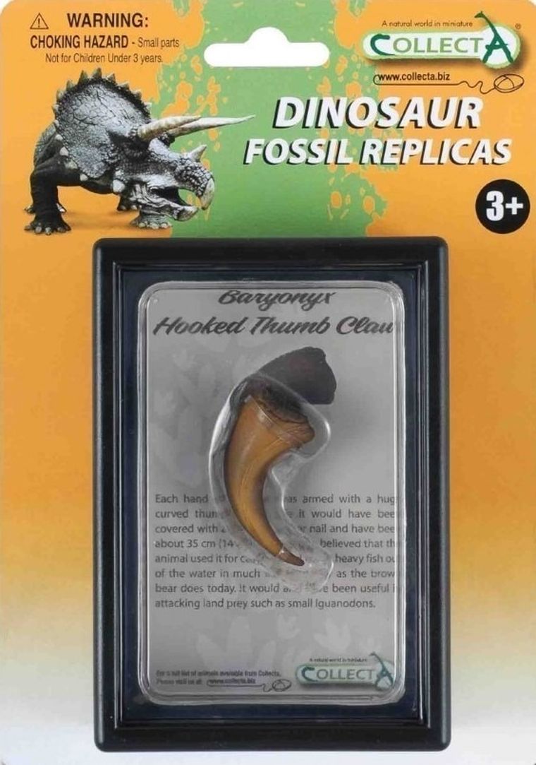 Collecta, pazur Baryonyxa