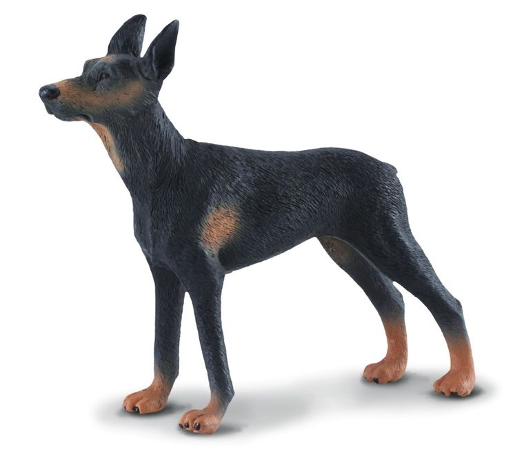 Collecta, Pies Doberman, figurka, 88086