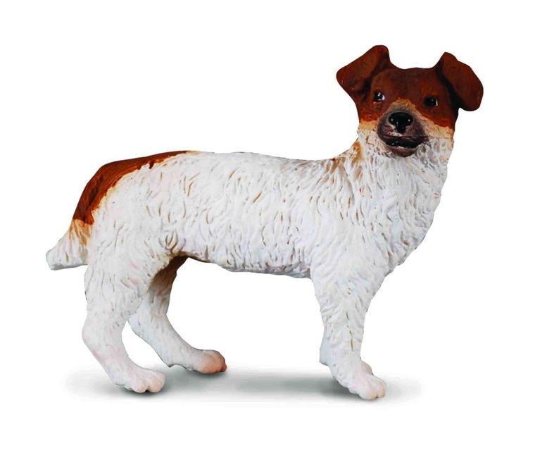 Collecta, Pies Jack Russell, Terier, figurka, 88080