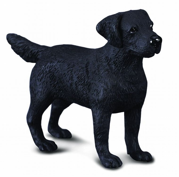 Collecta, Pies Labrador, figurka, 88076