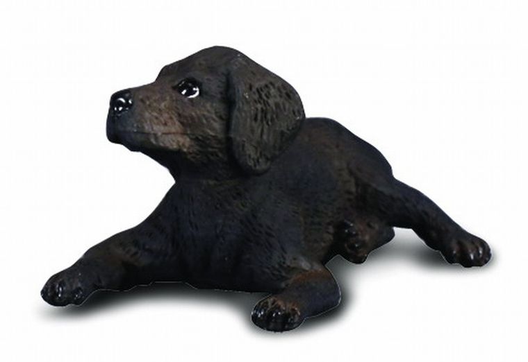 Collecta, Pies Labrador Szczeniak, figurka, 88077