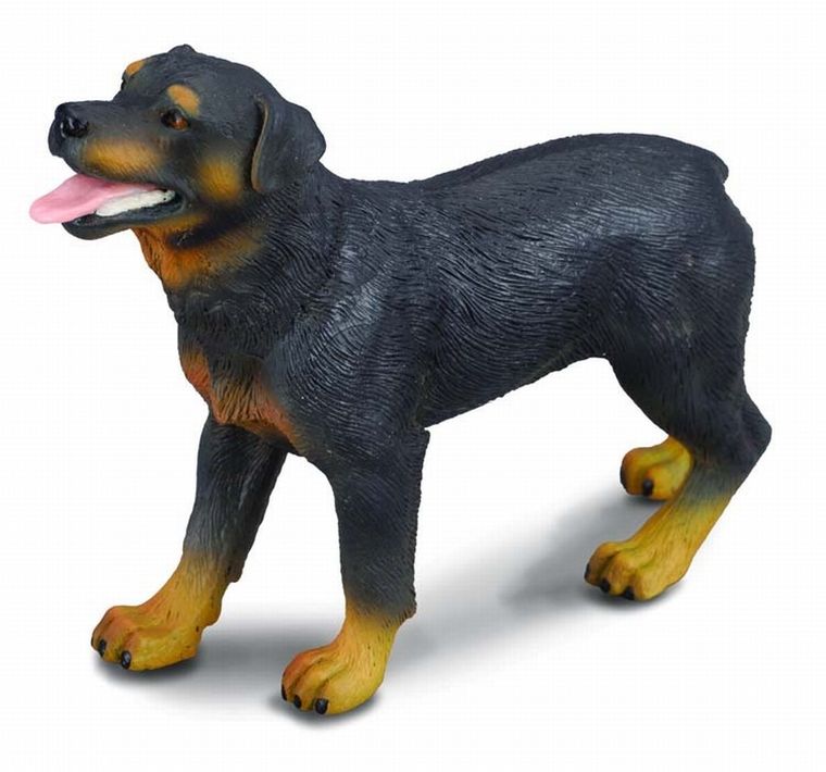 Collecta, Pies rasy Rottweiler, figurka, 88189