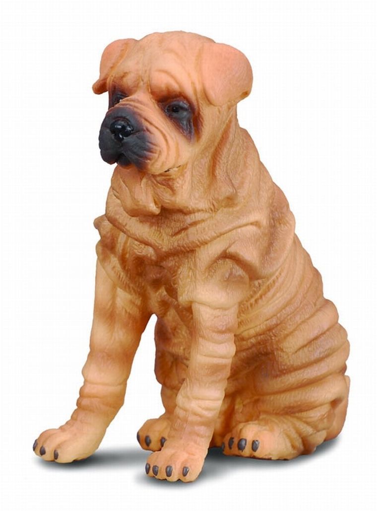 Collecta, Pies rasy Shar, Pei, figurka, 88193