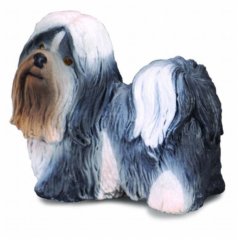 Collecta, Pies rasy Shih-Tzu, figurka, 88195