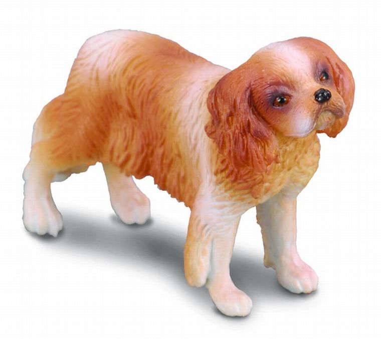 Collecta, Pies rasy Spaniel Cavalier King Charles, figurka, 88181