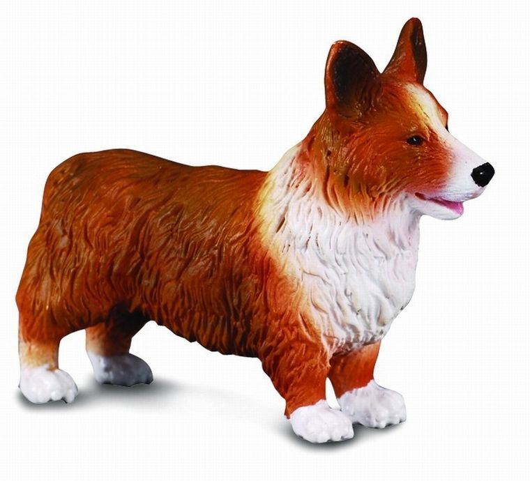 Collecta, Pies Welsh Corgi, figurka, 88082