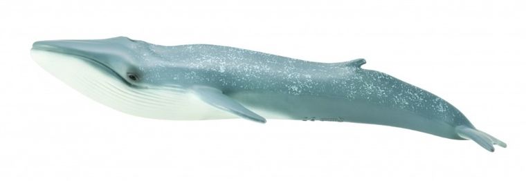 Collecta, Płetwal Błękitny, figurka, 88834