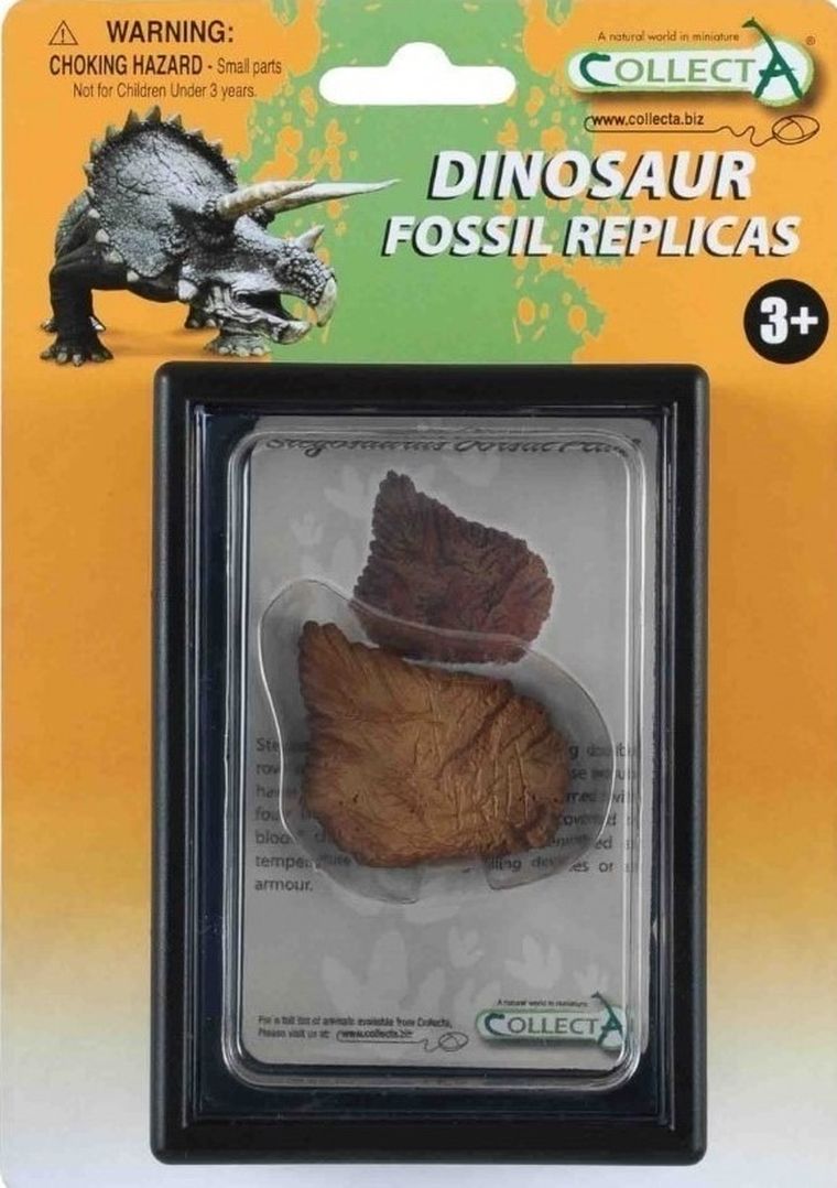 Collecta, płytka grzbietu Stegozaura