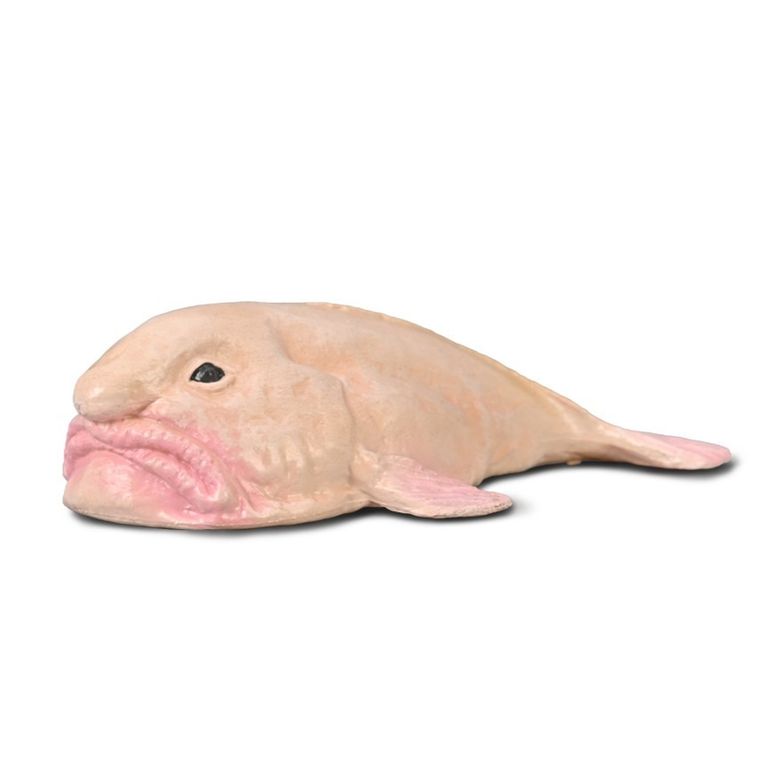 Collecta, Psychorolutes Marcidus, Blobfish, figurka, 80037
