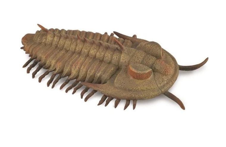 Collecta, Redlichia Rex Trilobite, figurka