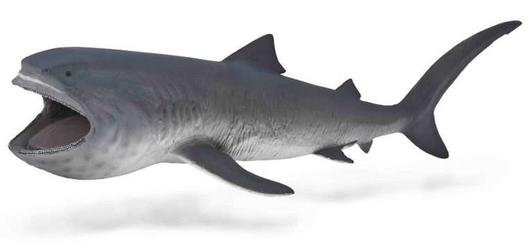 Collecta, Rekin Wielkogębowy, figurka, 80046