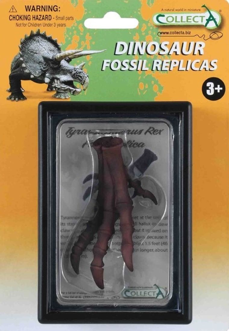 Collecta, replika kończyny dolnej Tyranozaura
