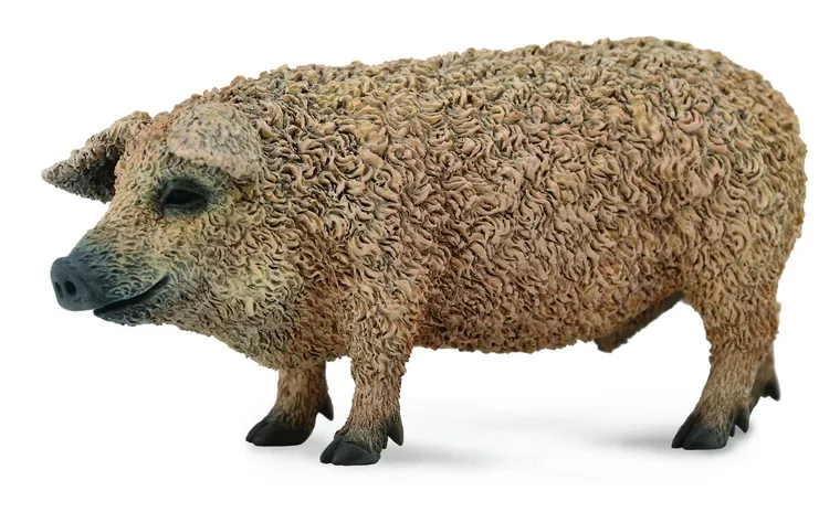 Collecta, Świnia Węgierska Mangalica, figurka, 88674