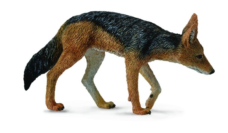 Collecta, Szakal Czaprakowy, figurka, 88665