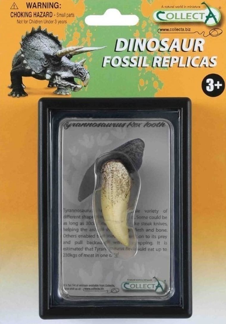 Collecta, ząb Tyranozaura w pudełku