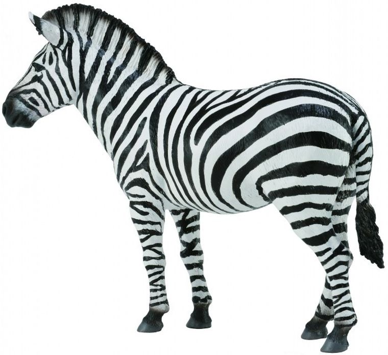 Collecta, Zebra Common, figurka, 88830