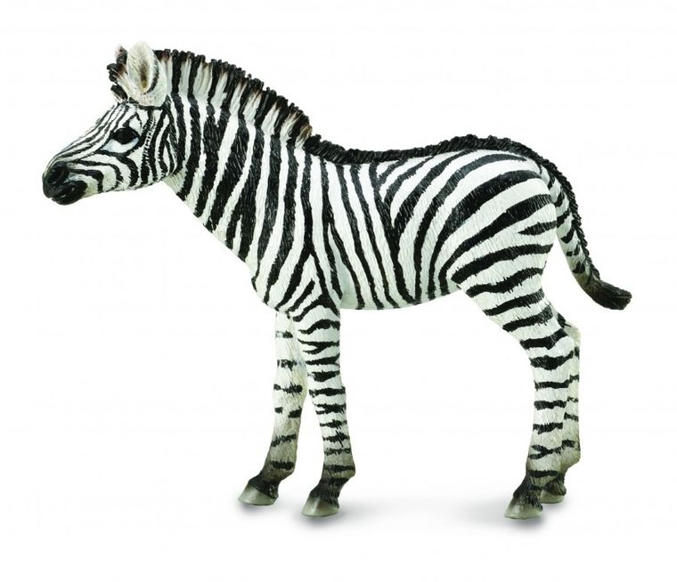 Collecta, Zebra Foal, figurka, 88850