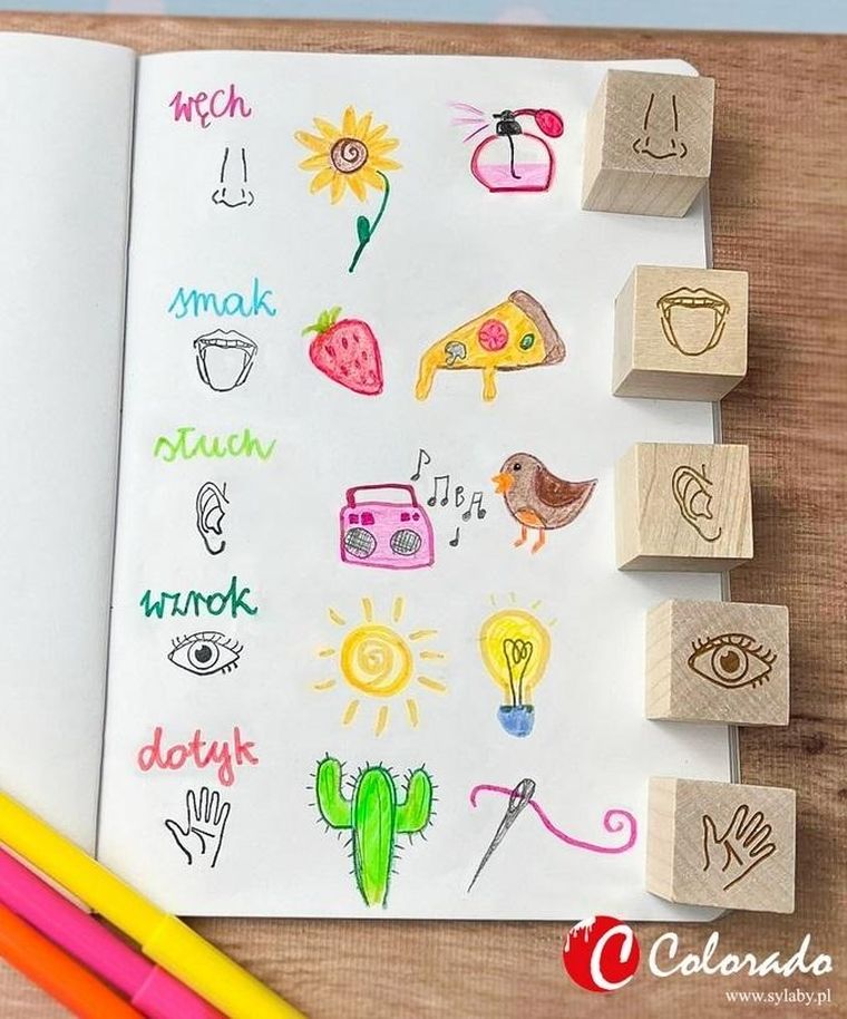 Colorado, stemple, 5 zmysłów