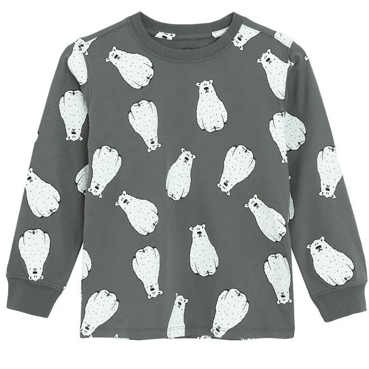 Cool Club, Bluzka chłopięca z długim rękawem, szara