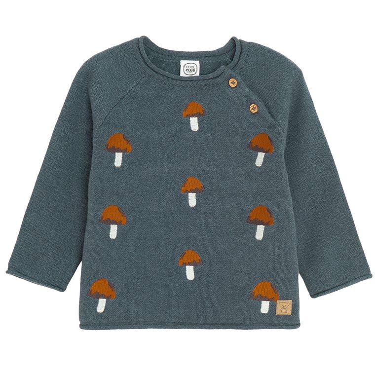 Cool Club, Sweter chłopięcy, niebieski