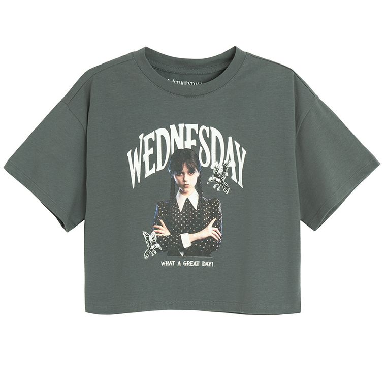 Cool Club, T-shirt dziewczęcy, crop top, szary, Wednesday