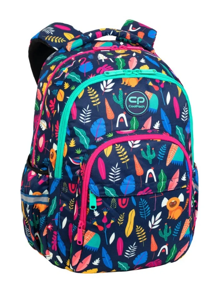 CoolPack, Basic Plus, plecak szkolny, 2-komorowy, Lady Color